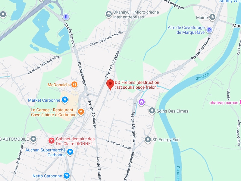 DD Frelons Carbonne : Localisation sur carte Google Maps.