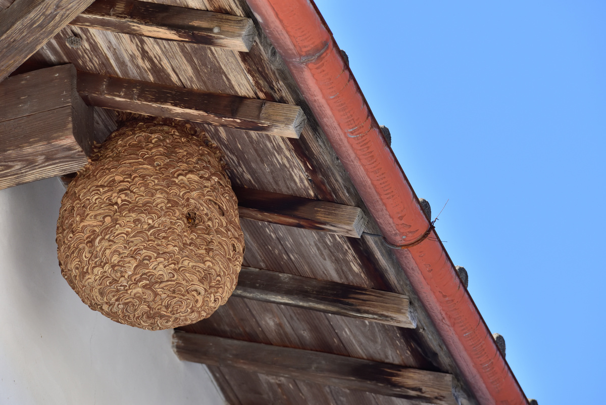 AdobeStock_235700828-1