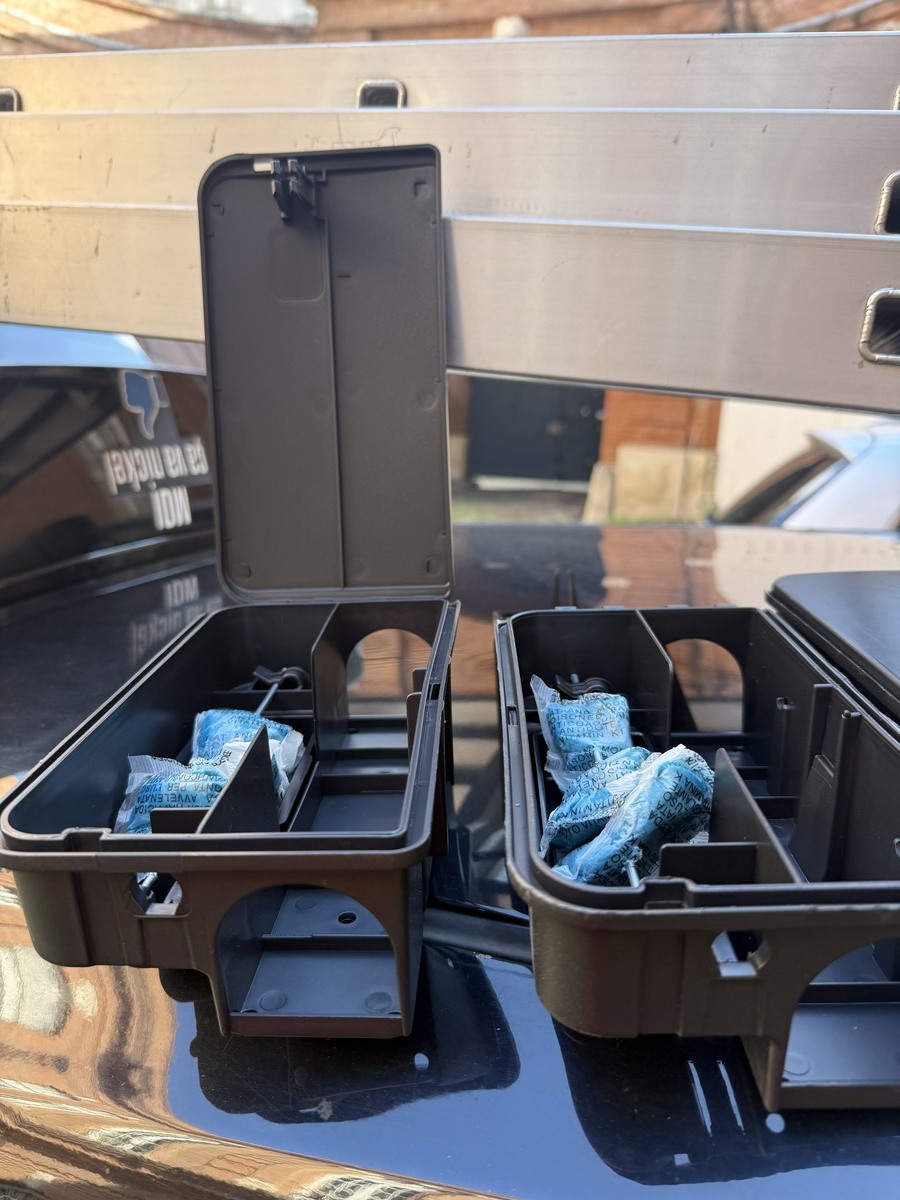 Protégez votre maison cet hiver avec DD Frelons : Spécialiste en dératisation